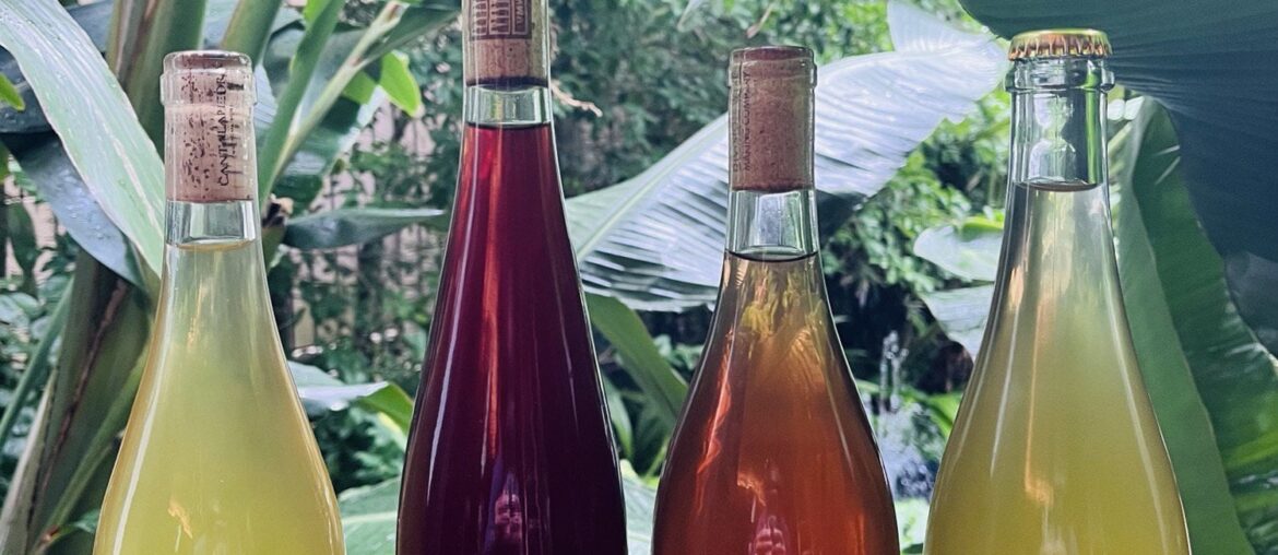 Line up for the pop up tomorrow