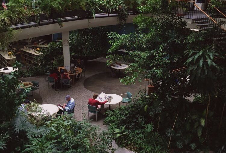 Downtown Reno Library [750x1000]