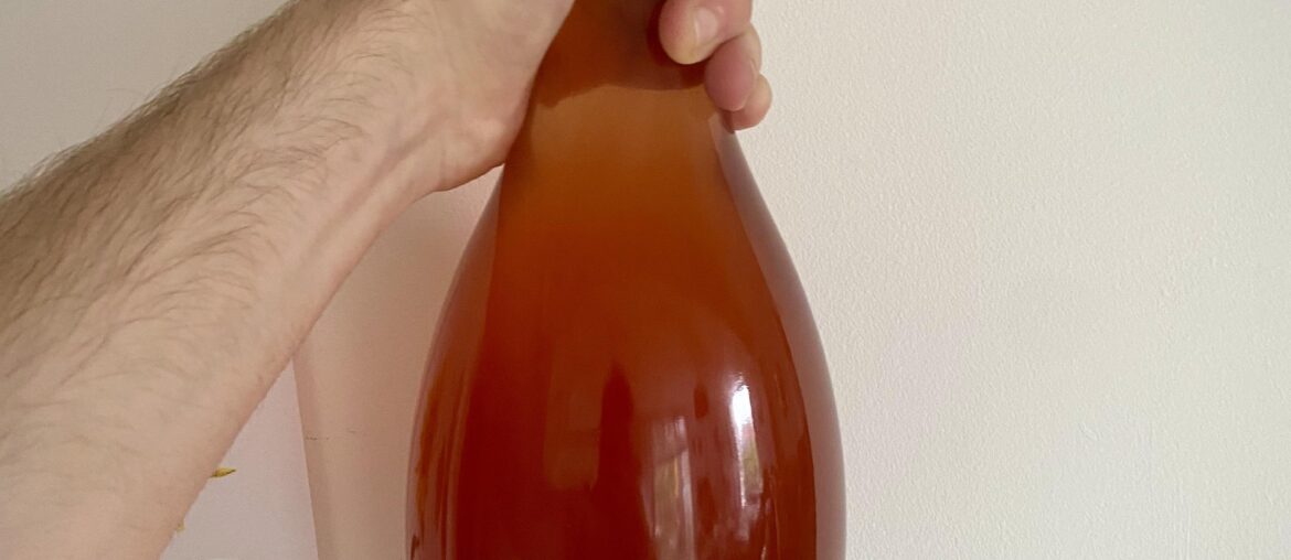 Lost in a Field - Frolic Pet Nat 2021 by Tim Wildman (review in comments)