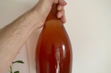 Lost in a Field - Frolic Pet Nat 2021 by Tim Wildman (review in comments)