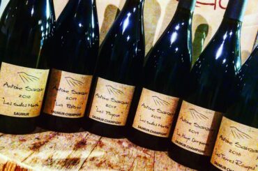 Les Gueules à Raisins [ASB] A. Sanzay one of the masters of the Loire Valley!!!