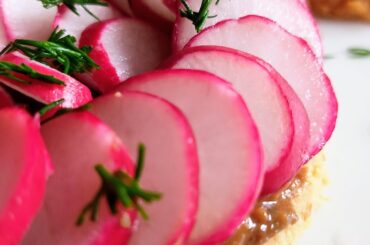 J'ai fait des sablés au parmesan + une sauce ssam (pâte de piment, miso, ail, oignon) et des radis frais du marché. Ça a l'air frais comme ça (et ça l'est). Mais en réalité, c'est aussi hyper gourmand 😋
