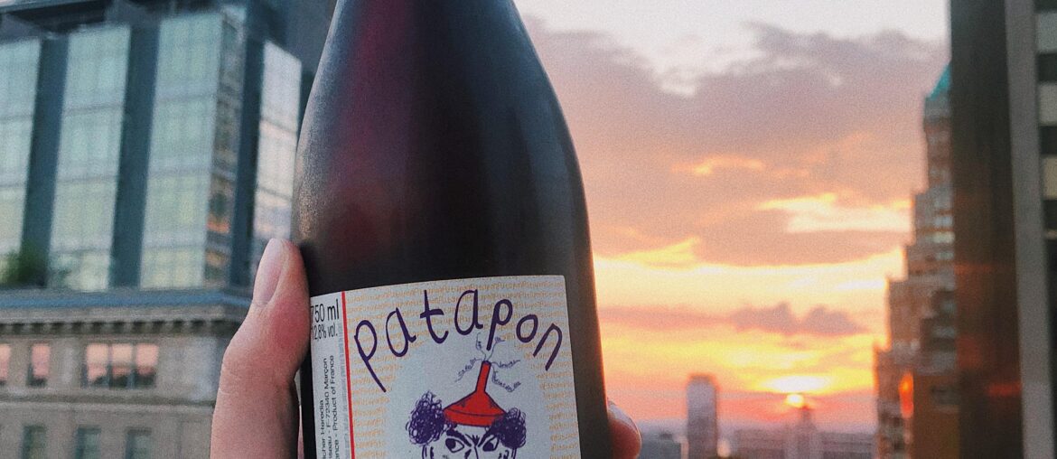 Patapon Rouge 2019 by Le Briseau Loire Valley