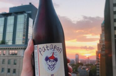 Patapon Rouge 2019 by Le Briseau Loire Valley