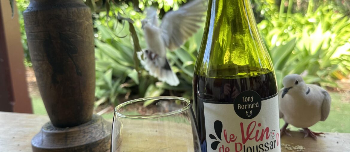 Tonette Bornard - Le Vin de Ploussard Ouvre L’Espirit - 2018