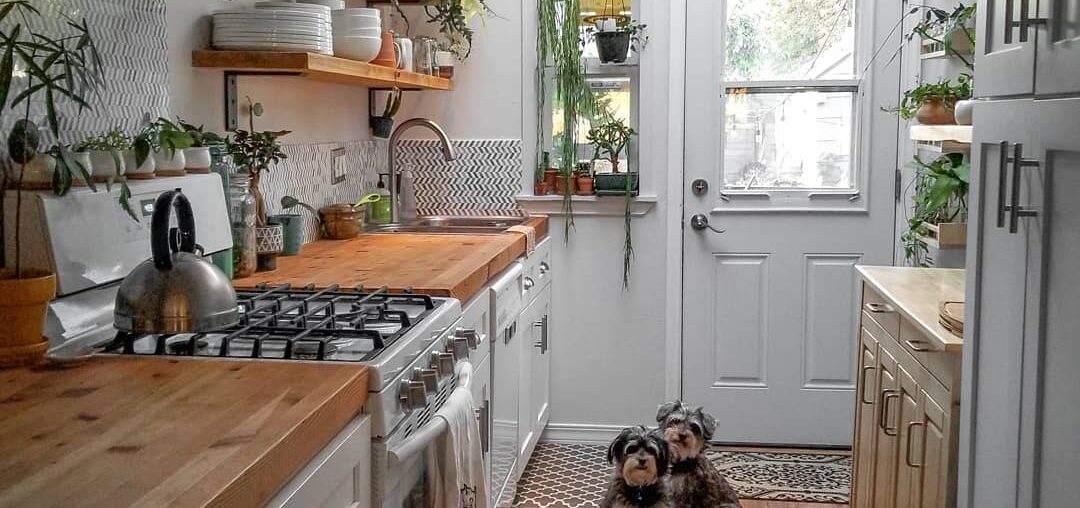 Narrow galley kitchen full of potted plants under a skylight, Tacoma, Pierce County, Washington.