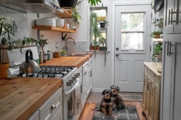 Narrow galley kitchen full of potted plants under a skylight, Tacoma, Pierce County, Washington.