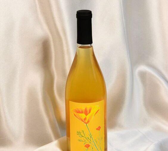 Any natural wine bars/wineries in Paso Robles? Also, what wine is this? It was so good but too inebriated to remember what it was