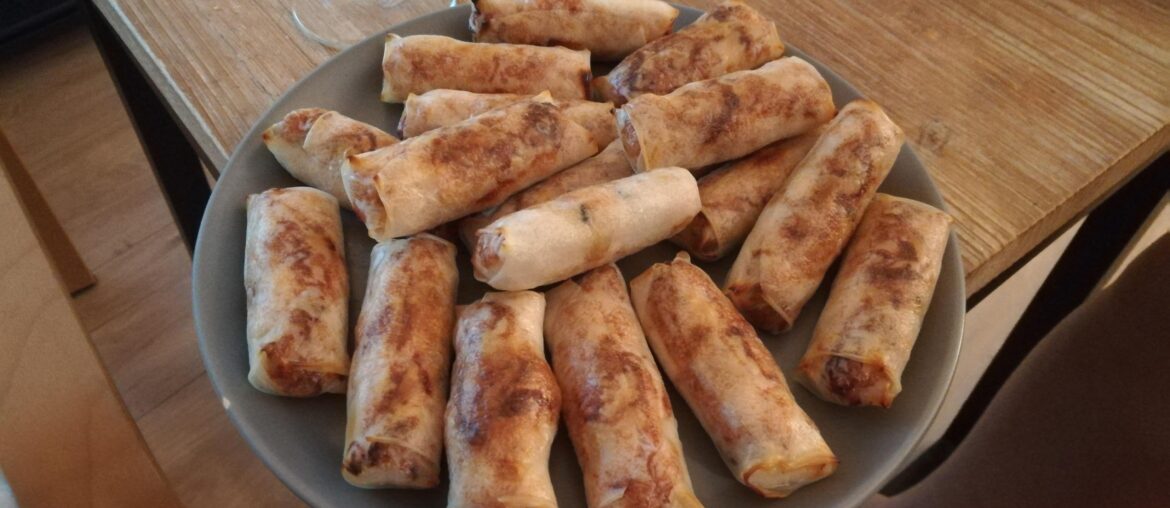 Mes premiers nems au poulet !