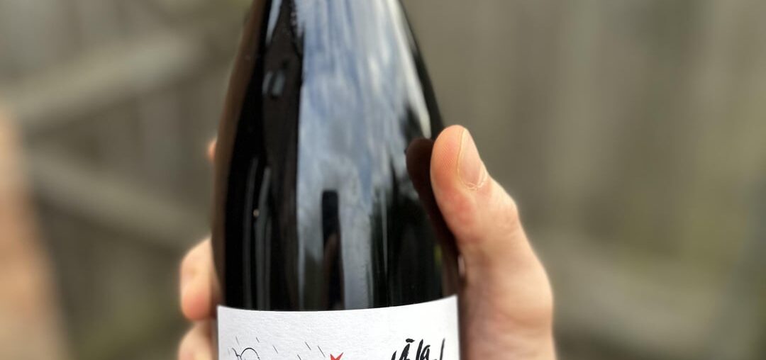 PATRICK BOUJU X ACTION BRONSON, A LA NATURAL ROUGE 2016