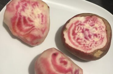 Téma les betteraves 😋