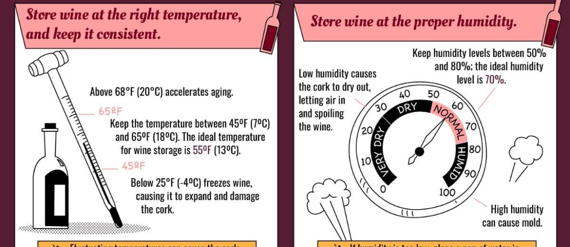 A helpful guide on how to store wine at home