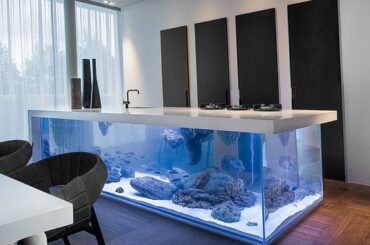 Aquarium kitchen countertop