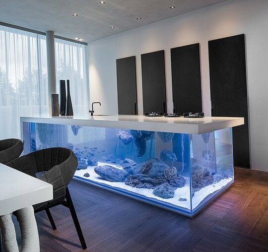 Aquarium kitchen countertop