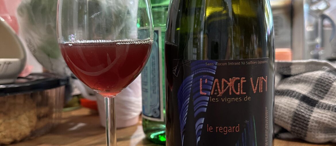 Jean-Pierre Robinot - le regard