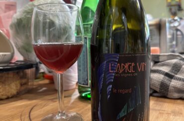 Jean-Pierre Robinot - le regard