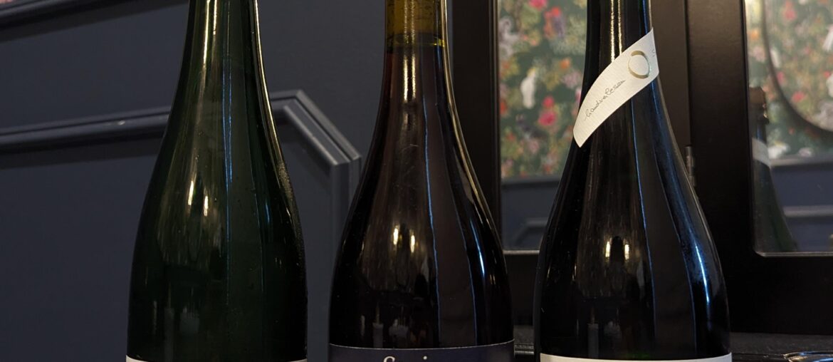 Haul from Nonfiction in Milwaukee. Found my 40th bday wine.