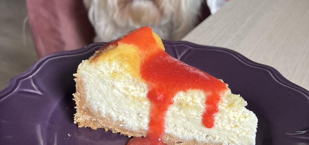 Cheesecake maison