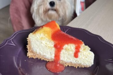 Cheesecake maison