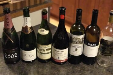 My friend who's a chef and also happens to be the best somm in atlantic canada cooked us a godly meal at home. This was our lineup!