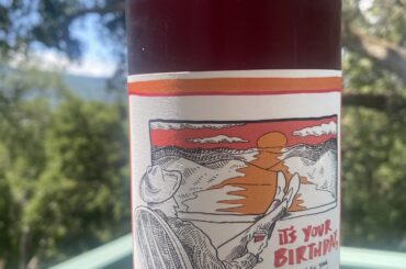 It’s Your Birthday (And All Your Enemies Are Dead) from Stagiare. Fruit punch-y and eminently gluggable wine for the summer
