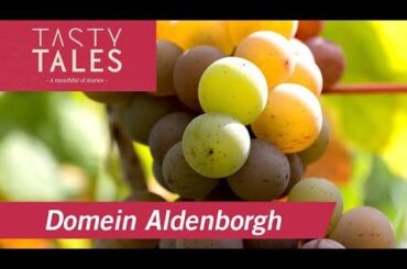 Hello there, I work on a passion project 'Tasty Tales' and we produce short videos about wineries (and breweries and distilleries) in The Netherlands and Belgium. We just finished a video about a Dutch winery that produces natural wines in the southern province of Limburg. You might like it, cheers!