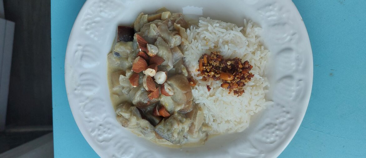Curry vert d'aubergines à la thai