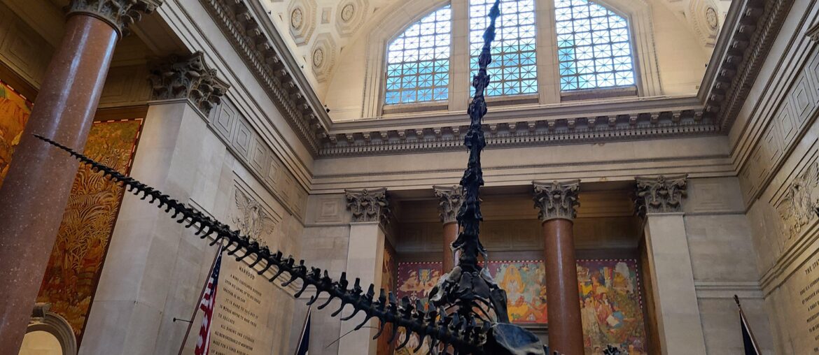 American Museum of Natural History, New York City. Designed by John Russell Pope in 1936. [4032x3024]