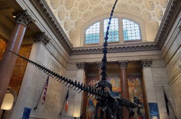 American Museum of Natural History, New York City. Designed by John Russell Pope in 1936. [4032x3024]