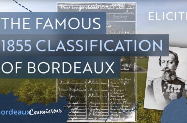 The 1855 Bordeaux Wine Classification System