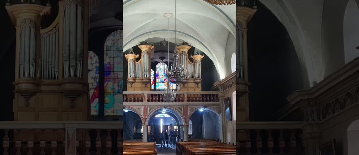 French Red Wine Wonders #21 Holistic Biodynamic Organic