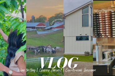 VLOG | Wine tasting , cherry picking, Great Wolf Lodge + cow to cone icecream, fireworks