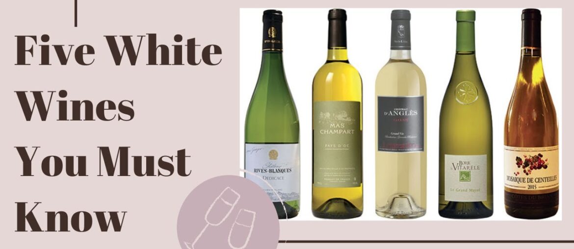 5 WHITE WINES YOU MUST KNOW