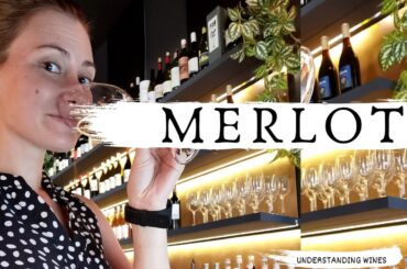 MERLOT - Understanding the Variety  | Everything to know about Merlot | Where is merlot grown