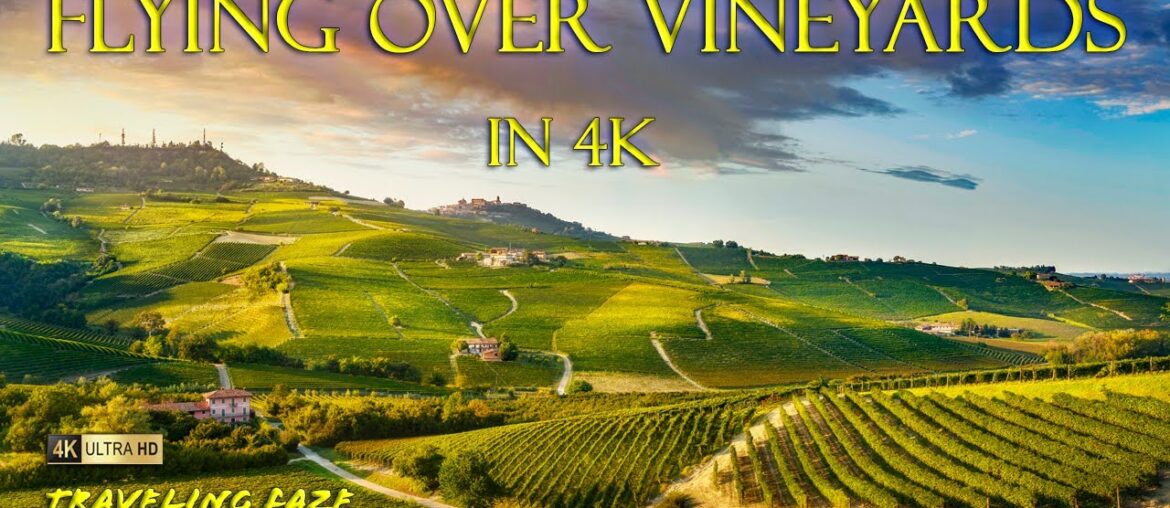 It's HAPPY HOUR!! Vineyards Around the World in 3 Hours [4K] [SCREENSAVER]