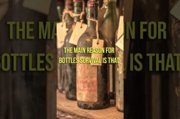 French were hiding wine from Nazis.#shorts