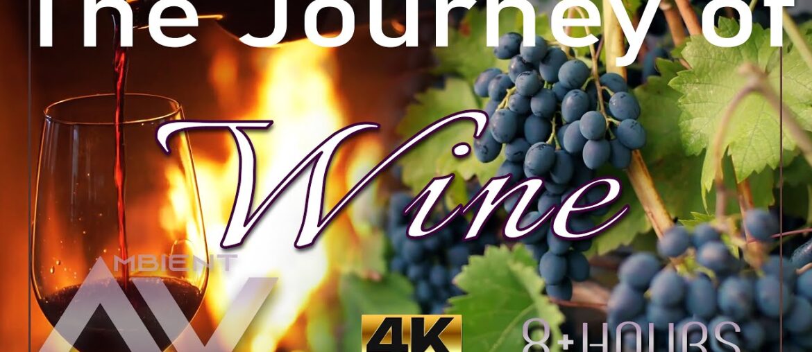 WINE - Wine yards, wine making and tasting 8 HOURS of Background Ambient Video