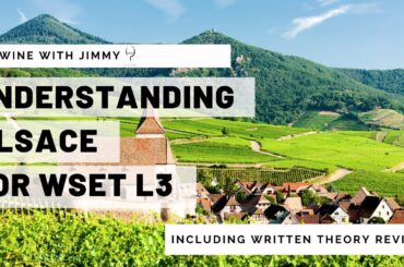 Understanding Alsace for WSET Level 3 Wines With Working Written Question