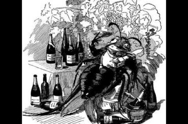 Great French Wine Blight | Wikipedia audio article