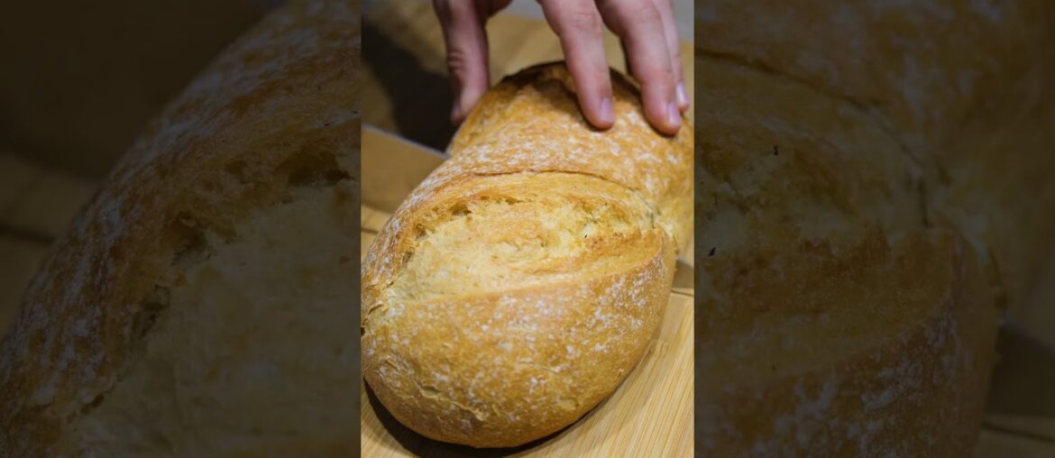 Gourmet Sandwich Delight: Avocado, Eggs, Garlic, and Olive Oil