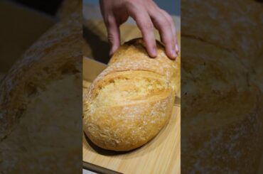 Gourmet Sandwich Delight: Avocado, Eggs, Garlic, and Olive Oil