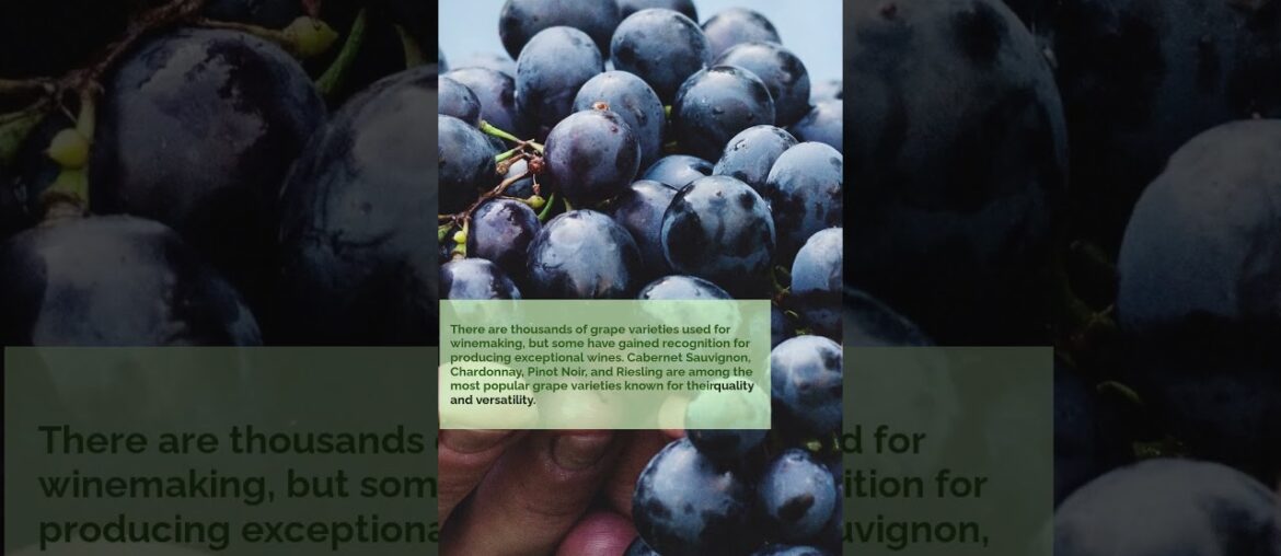 Evidence Based Best Wine Regions