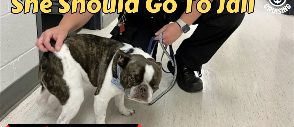 Woman Abandons Her Dog In Parking Lot To Go On Vacation Woman Abandons Her Dog In Parking Lot To Go On Vacation