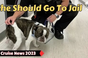 Woman Abandons Her Dog In Parking Lot To Go On Vacation