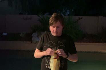 Minute Long Snack Review: Honey Butter Chips