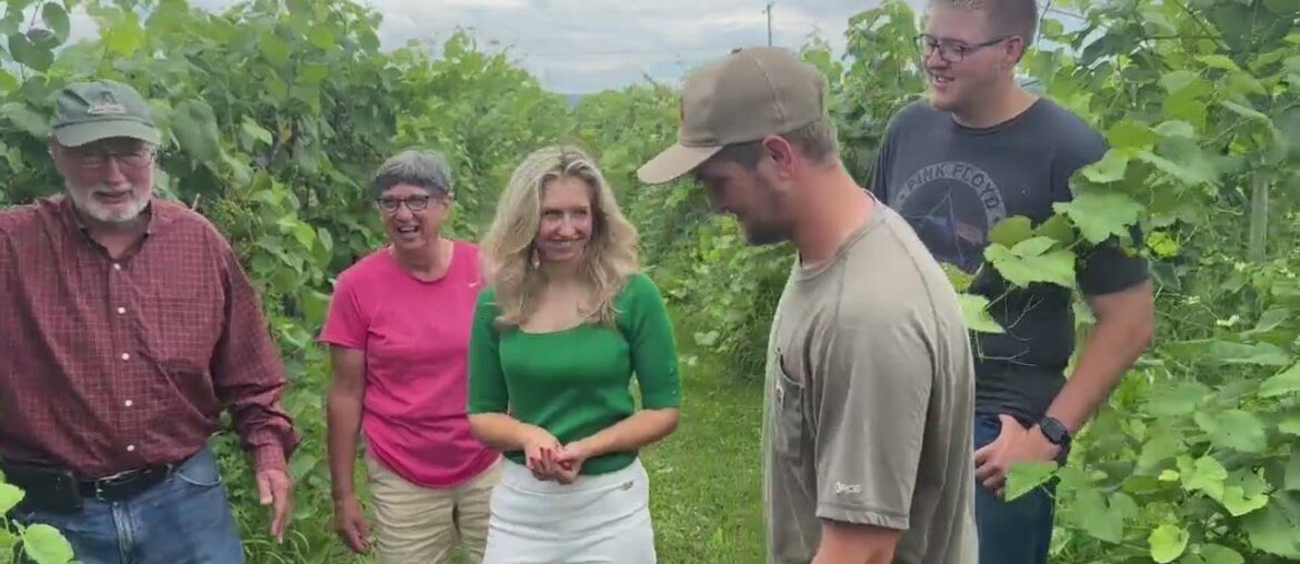 Happy Valley Vineyard & Winery