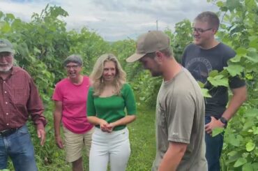 Happy Valley Vineyard & Winery