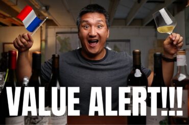 WINE Pro tastes 10 affordable FRENCH wines!!!