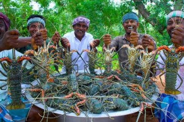 BIG LOBSTER | 50 KG Lobster Fry Cooking and Eating In Village | Lobster Recipes with Indian Masala