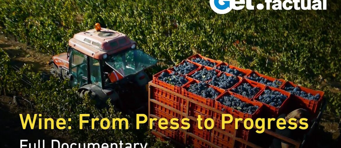 Wine’s History and its Ecological Future | Full Documentary Wine's History and its Ecological Future | Full Documentary